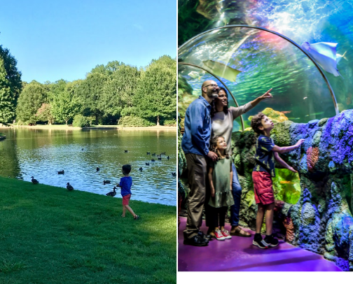 Fun things to do in Charlotte with your kids cover photo collage