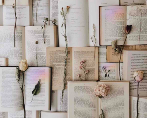 📚🍎BOOK RECS📚🍎 cover photo collage