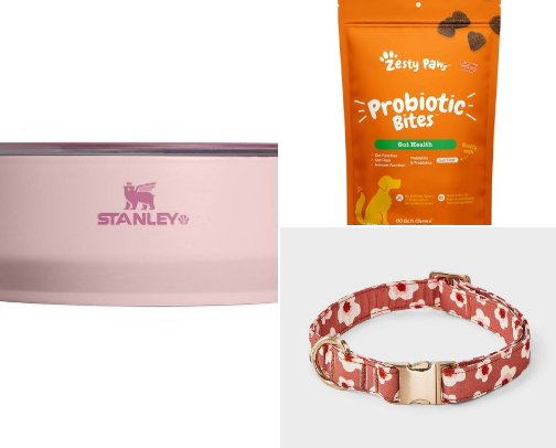 Dog accessories 🐾 cover photo collage