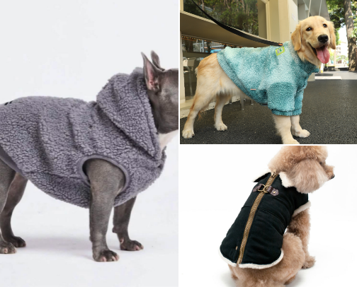 Winter essentials for our pets🐕🐶🦮🦥 cover photo collage