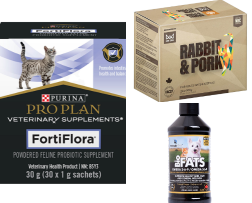Bare Essentials: Must-Haves for Your Hairless Cat cover photo collage