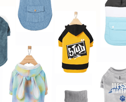 🐶Doggy fashion week | Cute ways to dress a dog cover photo collage