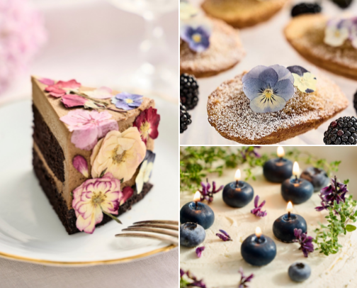 Cake Decorating Toolbox cover photo collage