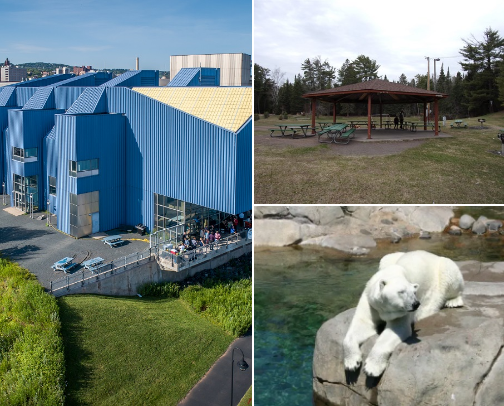 Travel to Duluth, Minnesota cover photo collage