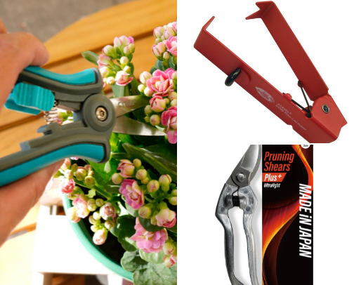 The Fresh Cut: How to Clean, Prep, and Extend the Life of Your Roses cover photo collage