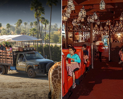 North County San Diego recs cover photo collage