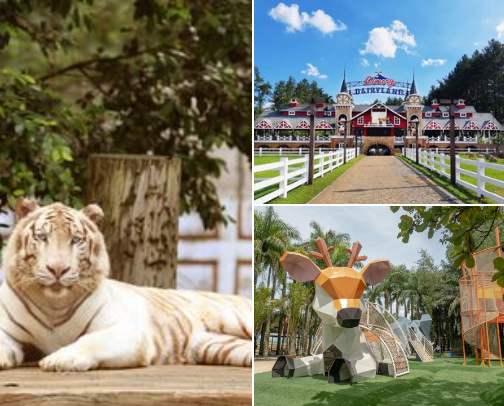 Weekend in Puncak,Bogor cover photo collage
