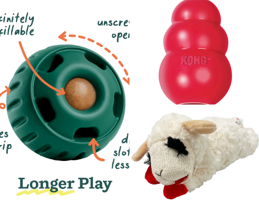 pet items you actually need and that actually work cover photo collage