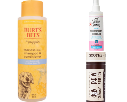 Puppy Health + Grooming Must Haves cover photo collage