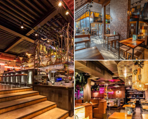 My favorite restaurants in Rotterdam cover photo collage