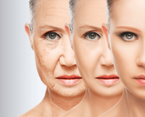 Total Body Longevity, The Pillars of Biological Age Reversal cover photo collage