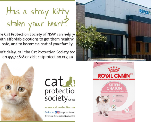 New kitten Love cover photo collage