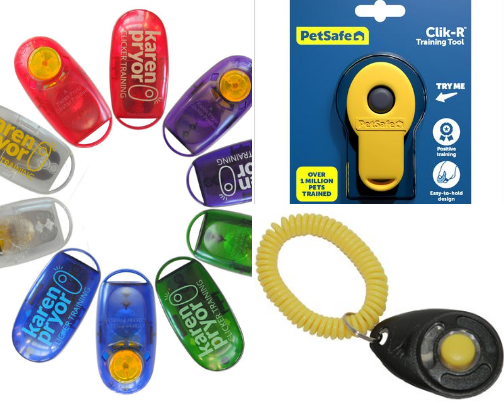 Clickers (Intermediate & Advanced Clients) cover photo collage