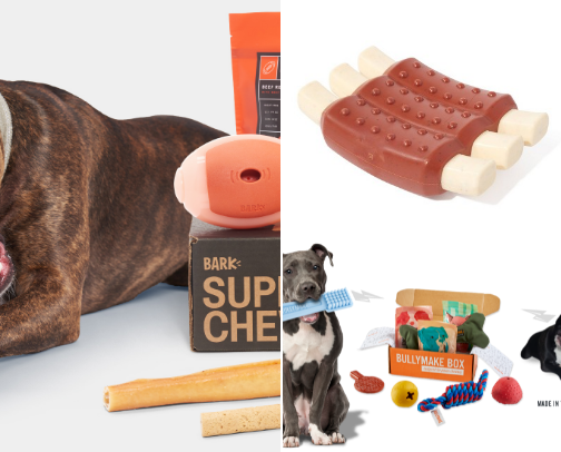 Tested Durable Dog Toys cover photo collage