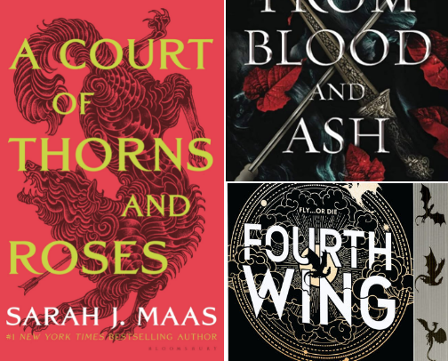 Book Recs 2025 cover photo collage