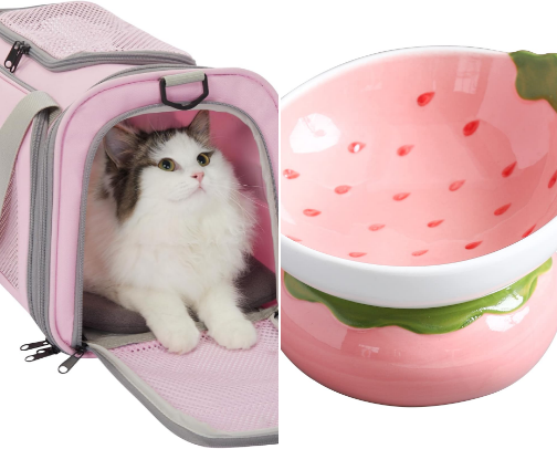 Kitty Essentials😸 cover photo collage