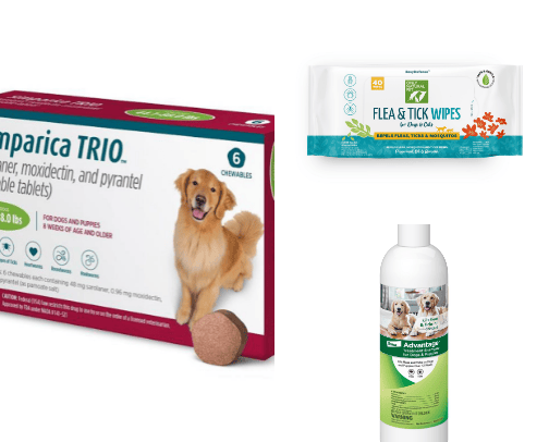 Stuff My Pet Ignores (But I Keep Buying Anyway)🤭 cover photo collage