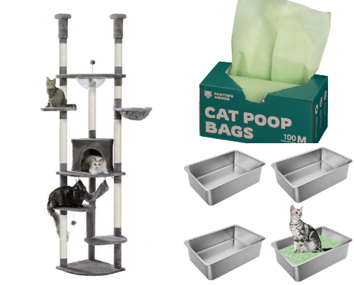 Surviving cats cover photo collage