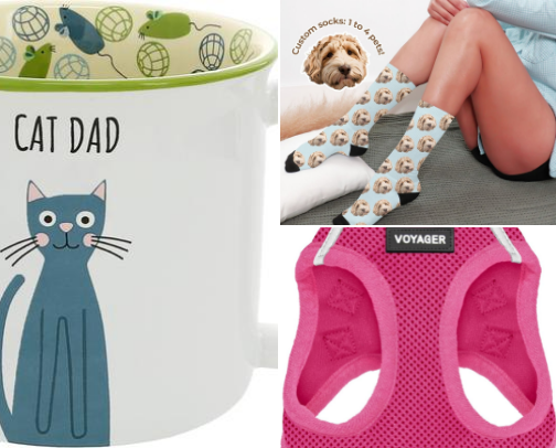 All about Animals cover photo collage