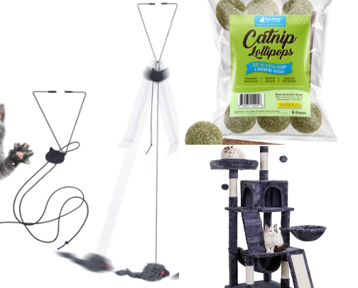 Purrrfect for kitties 🐾 cover photo collage