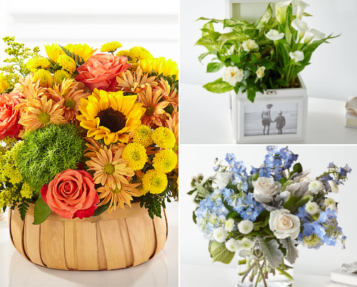 Decoration of Flowers. 🪷🪷 cover photo collage