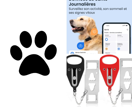 Sécurité & Voyage : Les Indispensables pour se Sentir Partout Chez Soi cover photo collage