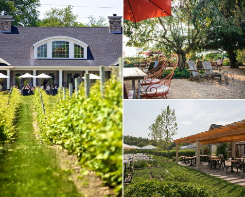 LI Wine Country Winery Recommendations cover photo collage
