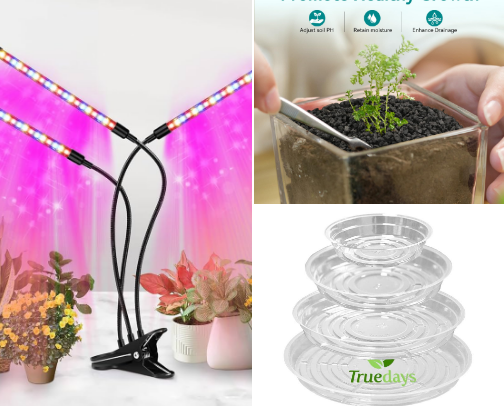 Green thumb Items cover photo collage