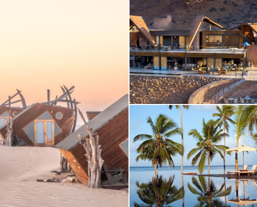 Dream Safari Lodges in Africa 🦁🌍 cover photo collage