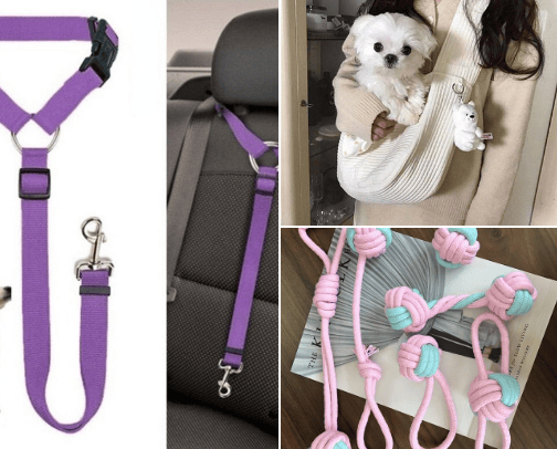 Just for dogs🐶 cover photo collage