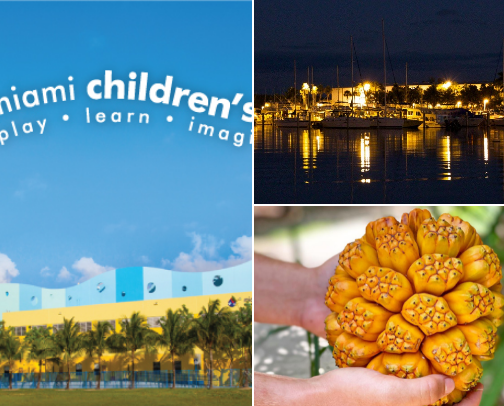 🌞 South Florida Smiles: Family Activities You’ll Love cover photo collage