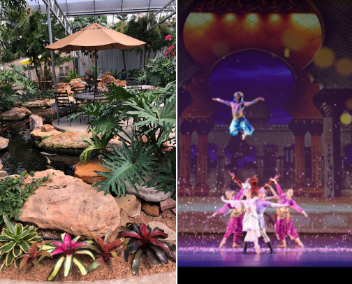 Don't Miss These in Midland TX cover photo collage