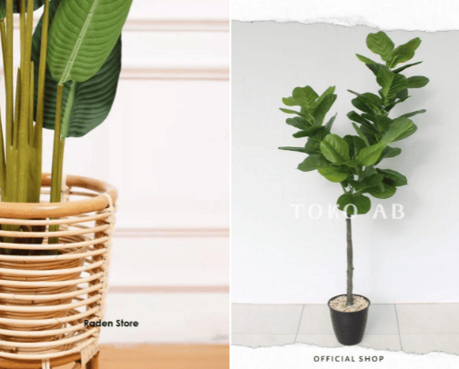 Tree Decor cover photo collage