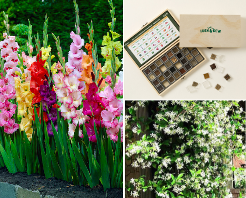 Dig some holes cover photo collage