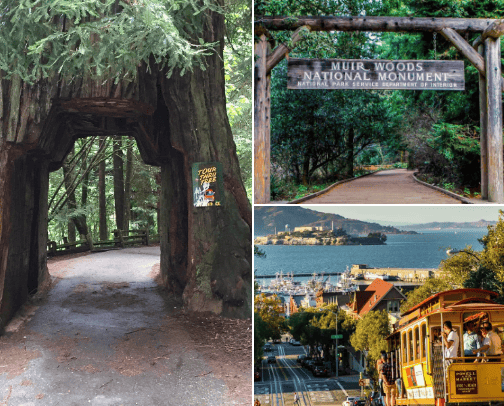 The Best of California cover photo collage