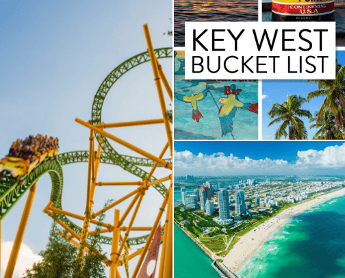 Things To Do In Florida cover photo collage