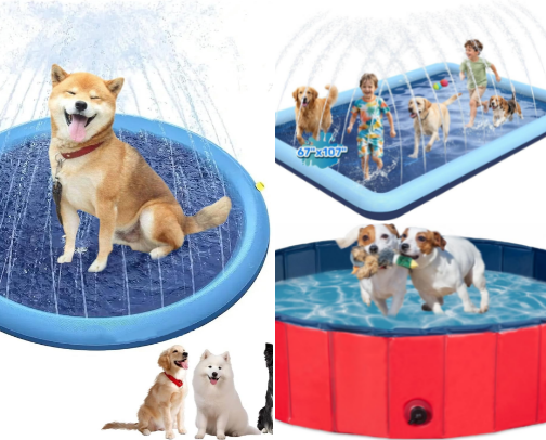 Pet Summertime Must Haves cover photo collage