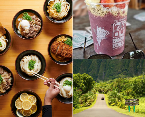 Hawaii Recs cover photo collage