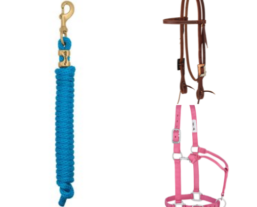 Beginner Horse Items cover photo collage