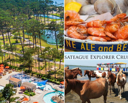 The Eastern Shore’s Best Kept Secrets cover photo collage