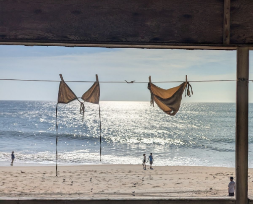 Tini Kinis! The Best Swimwear Brands for Summer 2026 cover photo collage