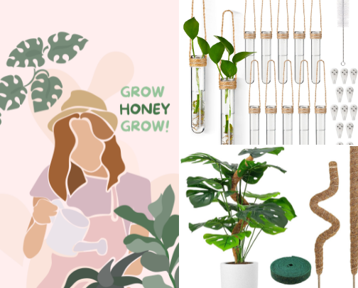 Plant Care Tools Every Indoor Gardener Needs 🪴✨ cover photo collage