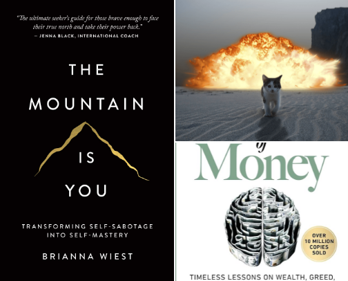 My favorite book recs cover photo collage