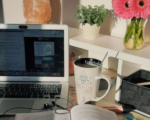 𓍢 ִ ໋ 🌷͙֒ Courses Worth Taking 📚🌷☕️ ·˚ * cover photo collage