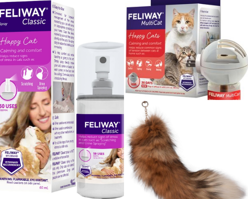 Cat Mom Essentials cover photo collage