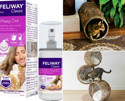 Cat Mom Essentials cover photo collage