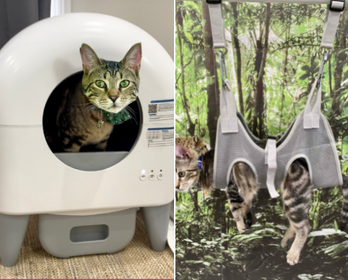 Cat Products for our new rescue kitten, Smokey! cover photo collage