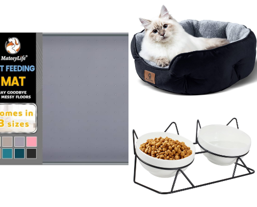 Cat essentials under $25𝜗ৎ cover photo collage