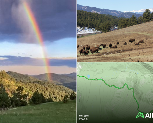 MY FAVORITE PLACES IN COLORADO cover photo collage