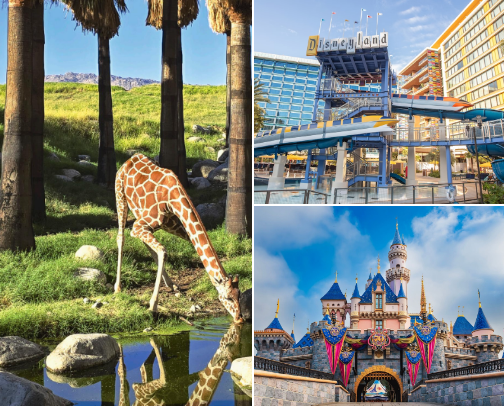Favorite Places to visit in the USA cover photo collage